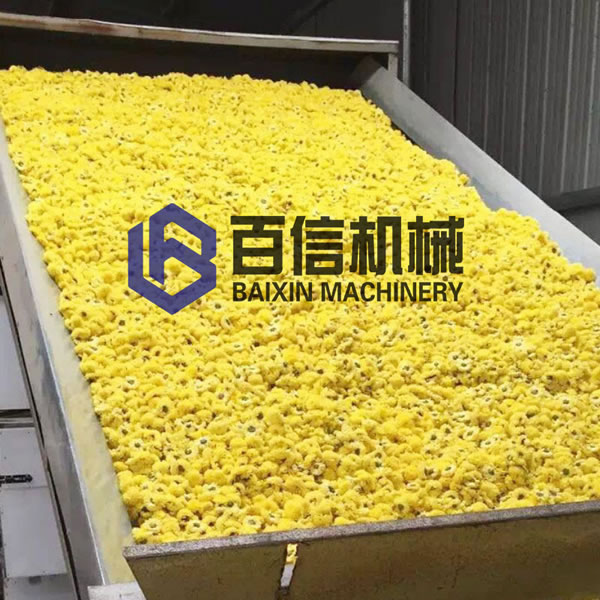 菊花烘干机现场